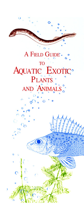 brochure cover
