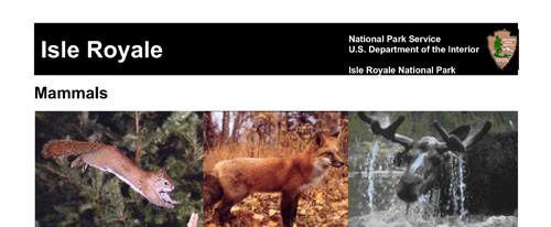 brochure cover