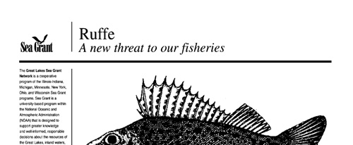 brochure cover