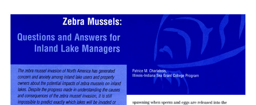 brochure cover