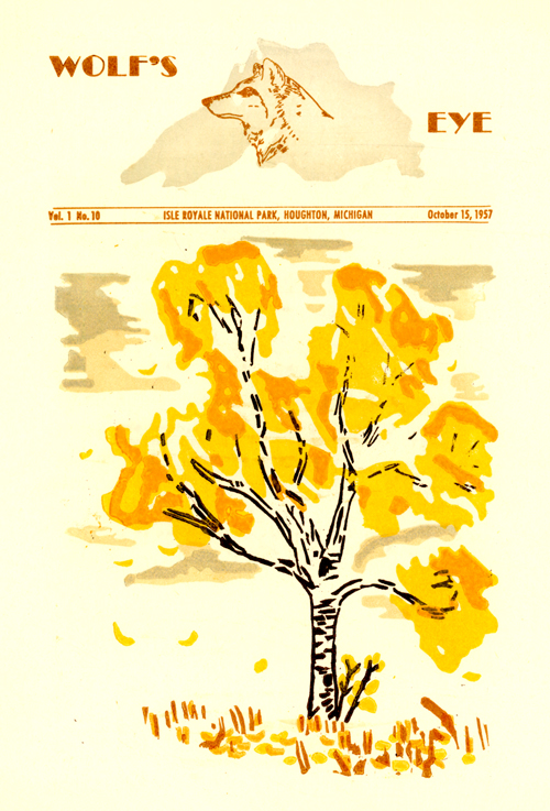 issue cover