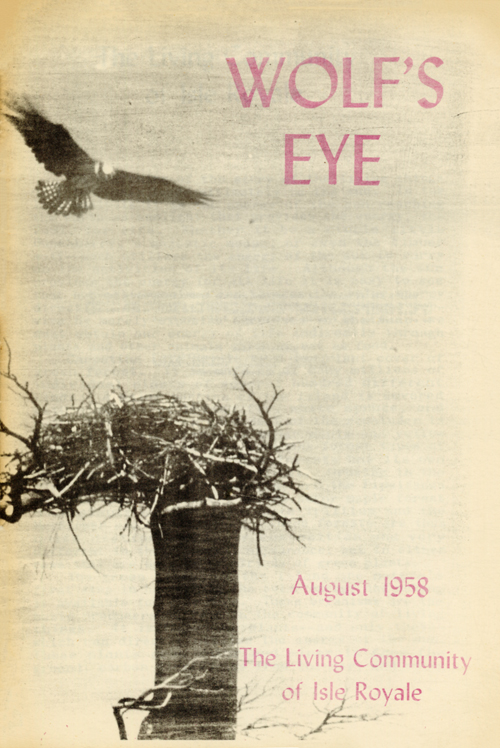 issue cover