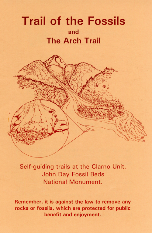 brochure cover