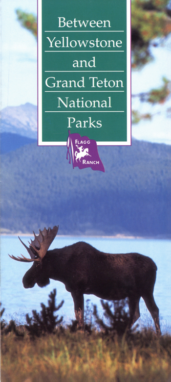 brochure cover
