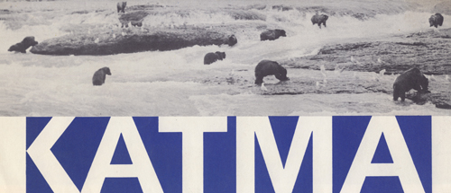 brochure cover