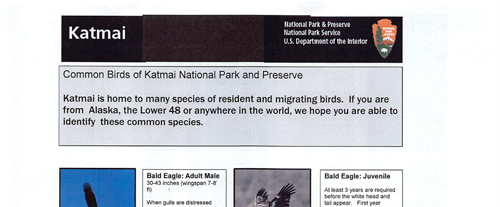 brochure cover