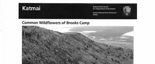 brochure cover