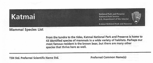 brochure cover