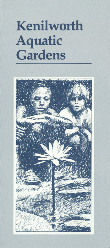 brochure cover