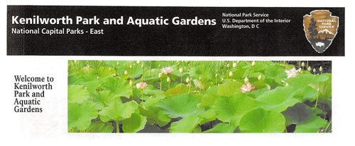 brochure cover