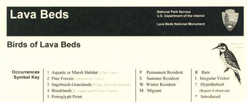 brochure cover