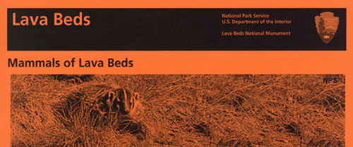 brochure cover