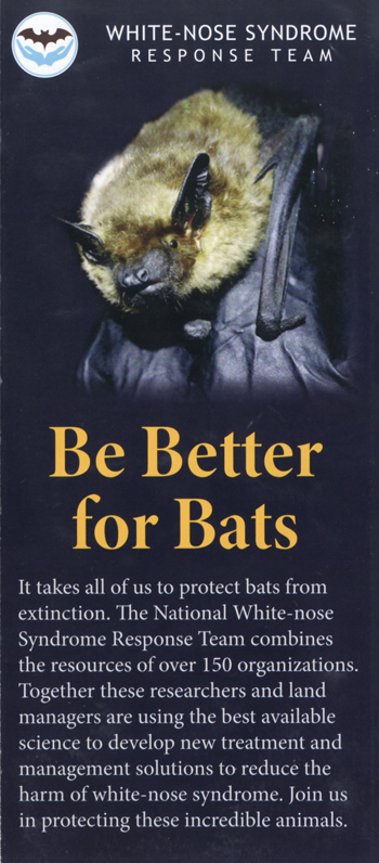 brochure cover