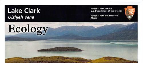 brochure cover
