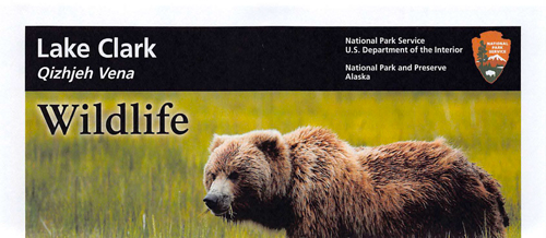 brochure cover
