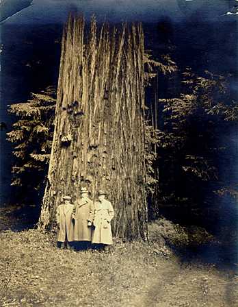 Stephen Mather, Hubert Work, and S.A. Perkins, 1925