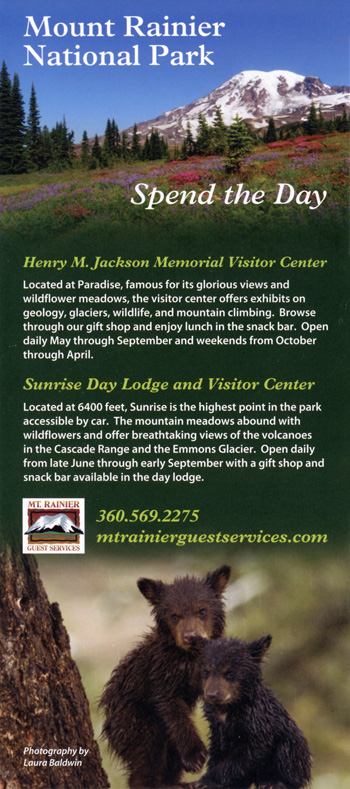 brochure cover