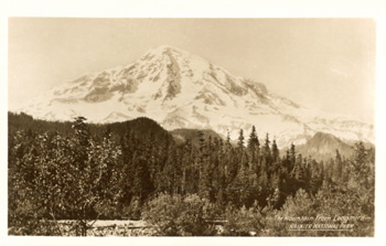 card cover