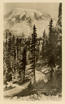 card cover
