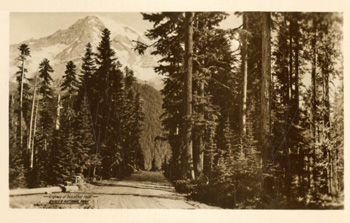 card cover