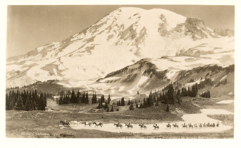 card cover