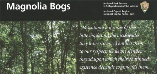 brochure cover
