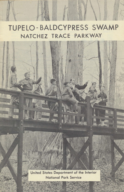 brochure cover