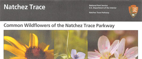 brochure cover