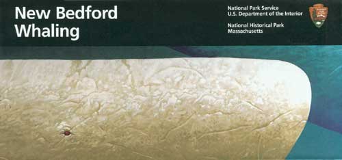 brochure cover