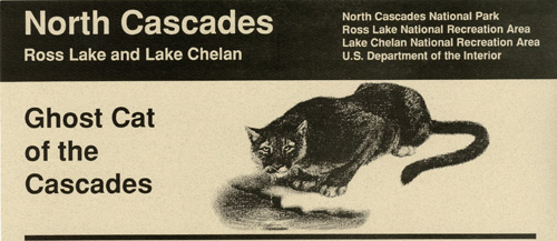 brochure cover