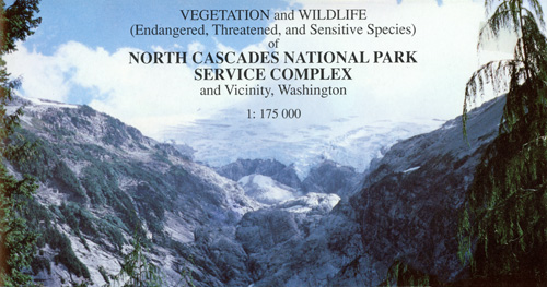 brochure cover