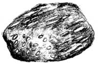 Metamorphic Rock