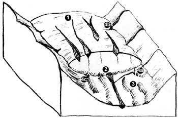 sketch of cut-away view of glacier meltwater system