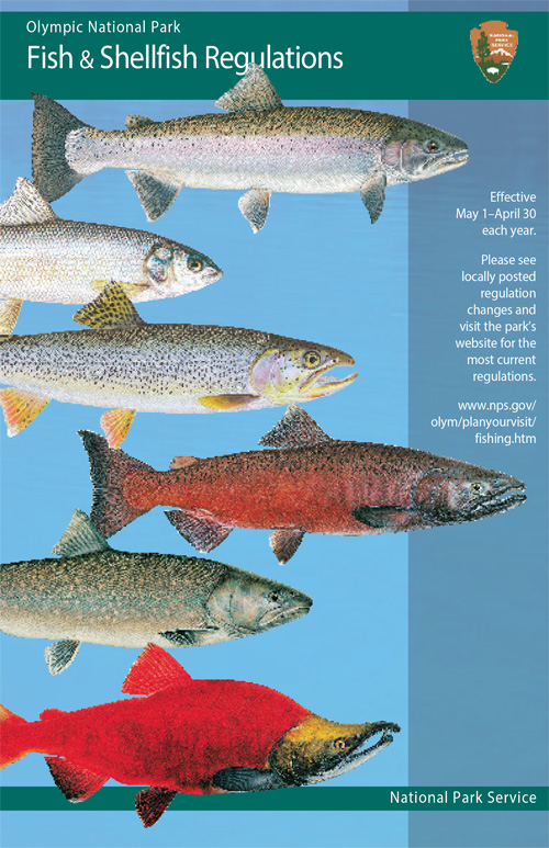 brochure cover