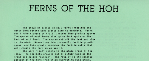 brochure cover