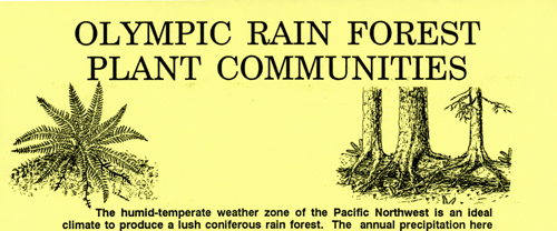brochure cover