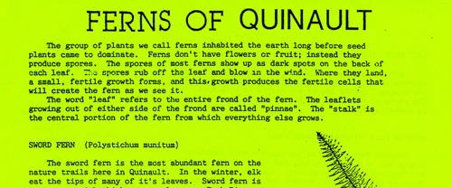 brochure cover