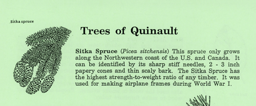 brochure cover