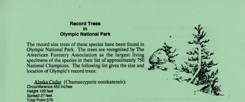brochure cover