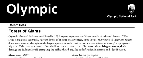 brochure cover