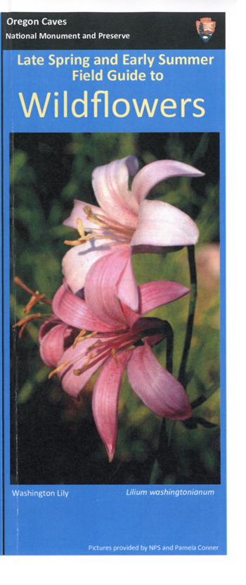 brochure cover