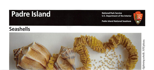 brochure cover