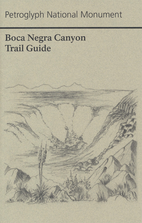 brochure cover