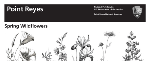 brochure cover
