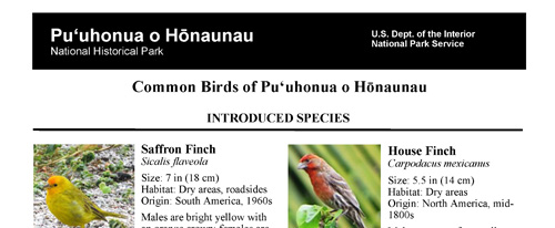 brochure cover