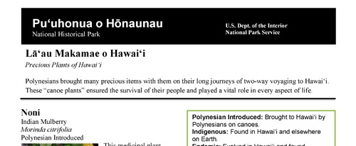 brochure cover