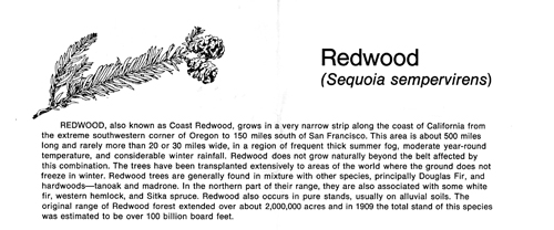 brochure cover
