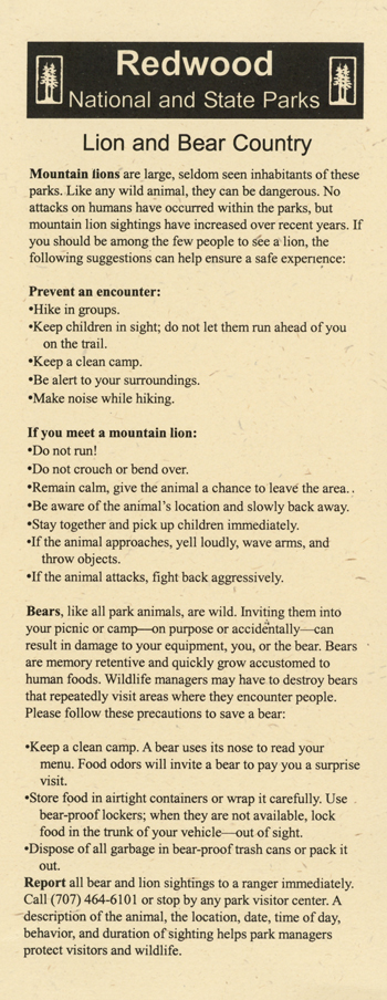 brochure cover