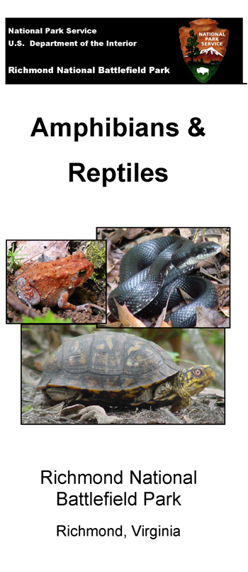 brochure cover