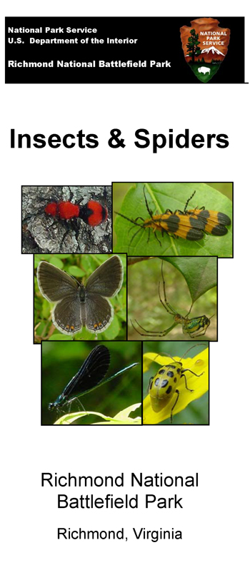 brochure cover